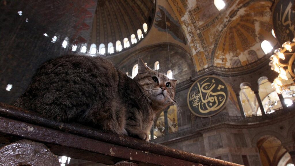 Hagia Sophia