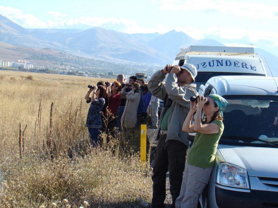 Birdwatching in Turkey