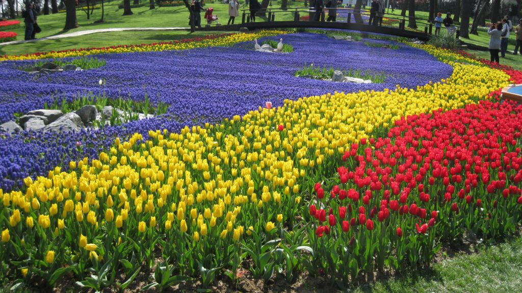 Best Places To Take A Selfie In Istanbul :  Emirgan Park End of March and April