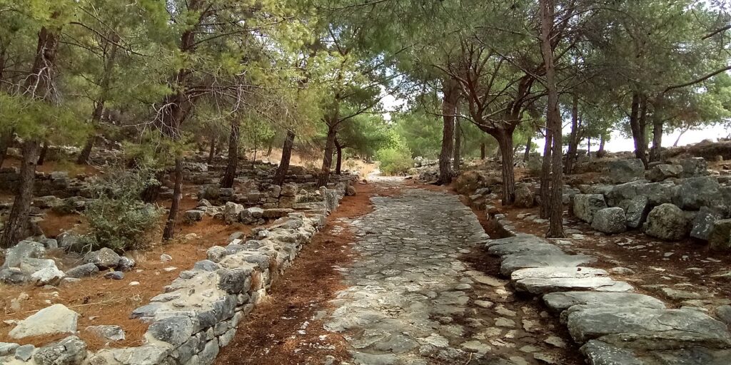 Priene Travel Guide