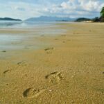 beach-2297883_1920