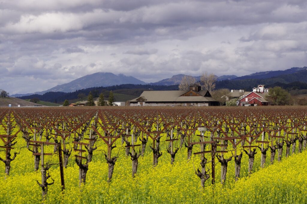 Napa Valley