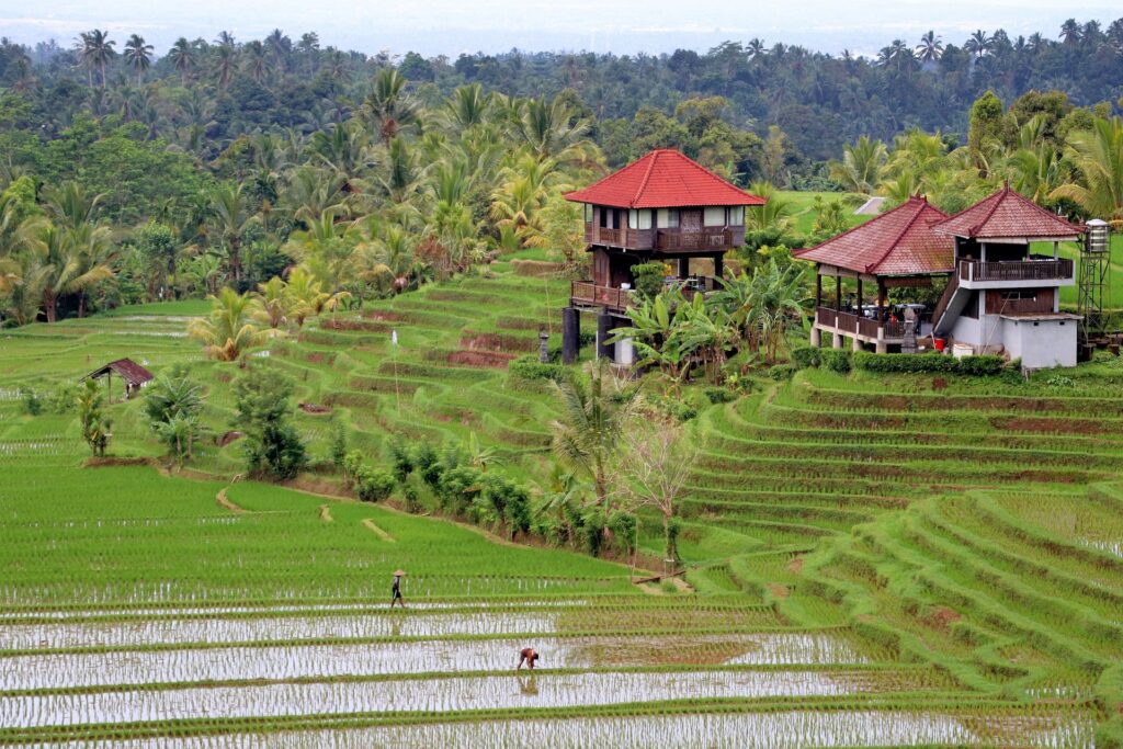 Bali Landscape