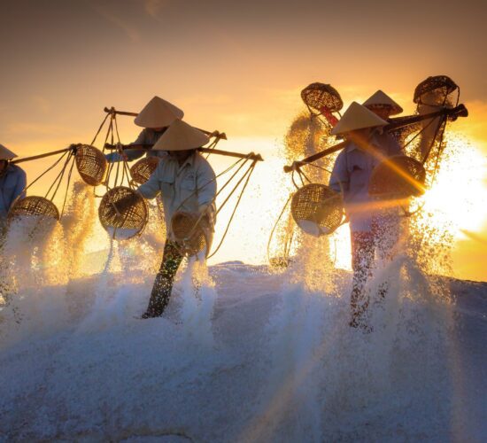 Salt Vietnam