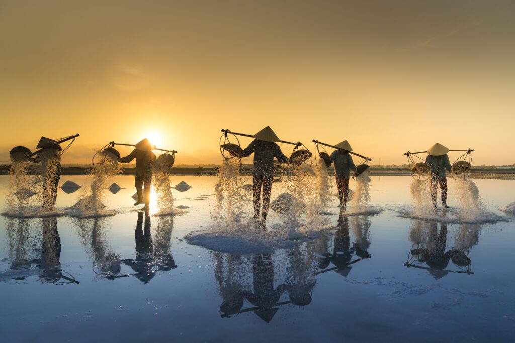 Vietnam Tours From USA / Salt Harvesting, Vietnam