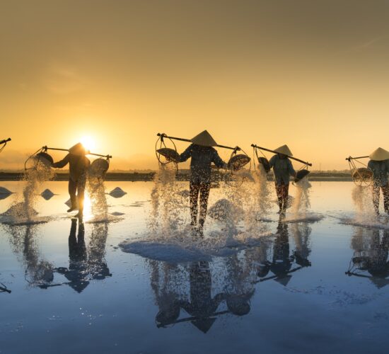 Vietnam Tours From USA / Salt Harvesting, Vietnam