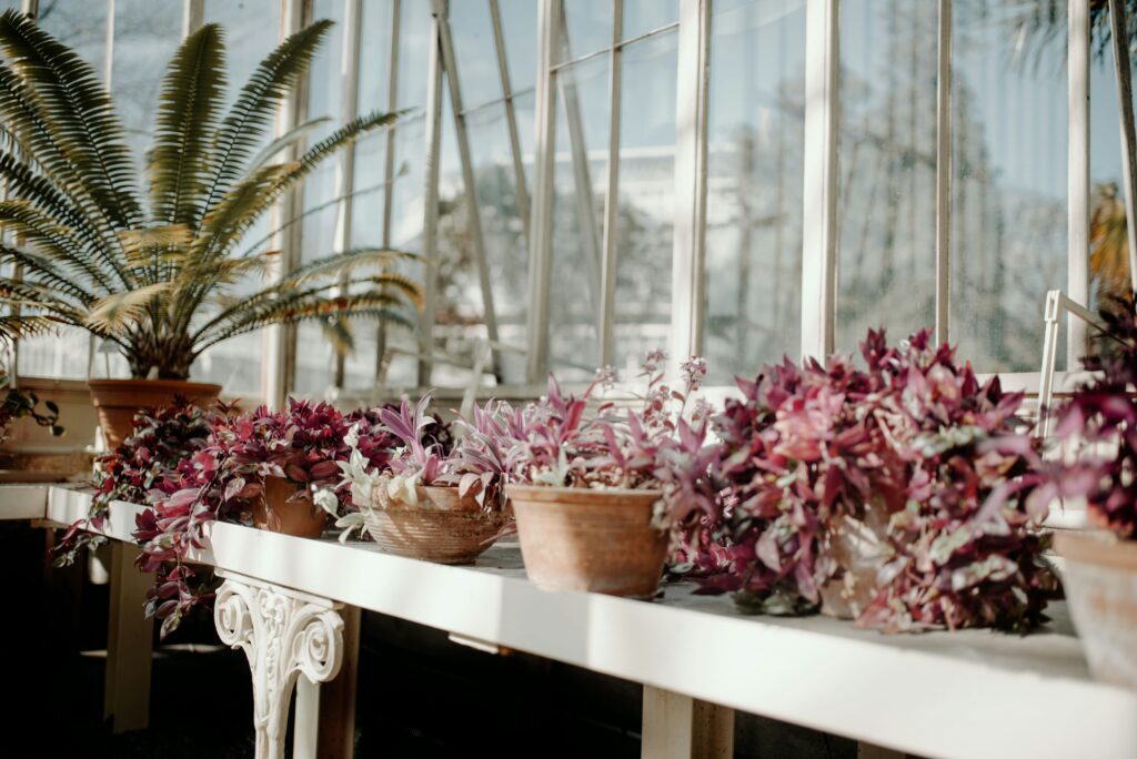 Glasnevin National Botanic Garden