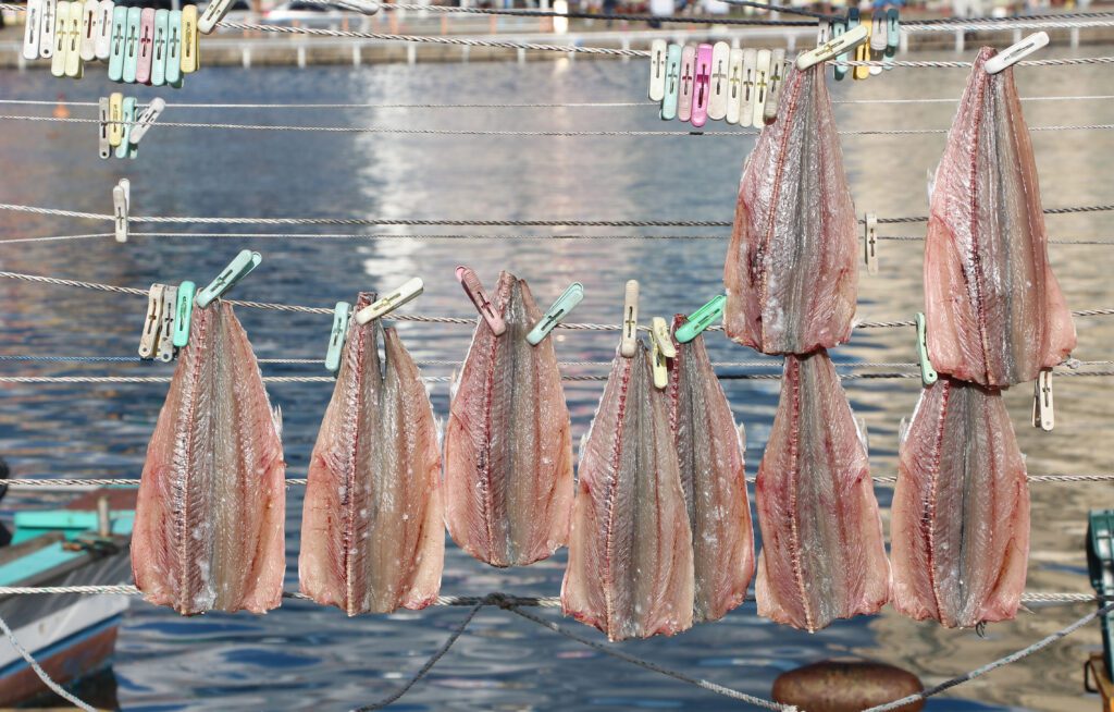 Best Things to Do in Nazare / Drying Fishes