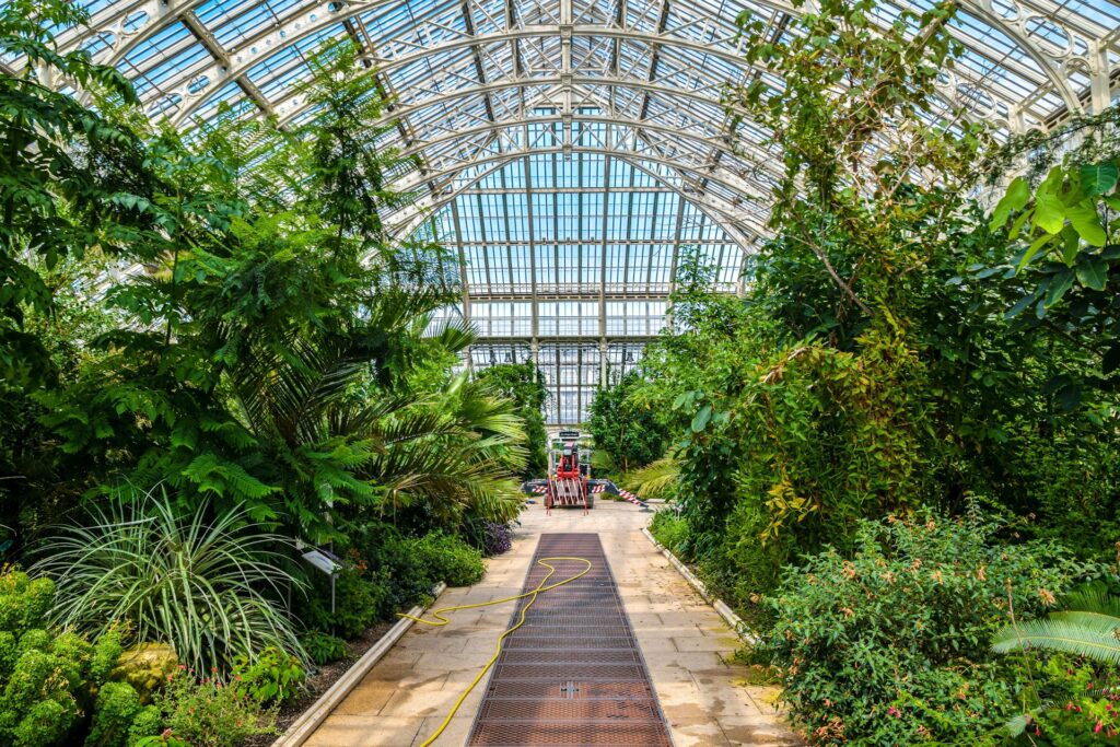 Best Places to Visit in London in 2024 / Kew Gardens