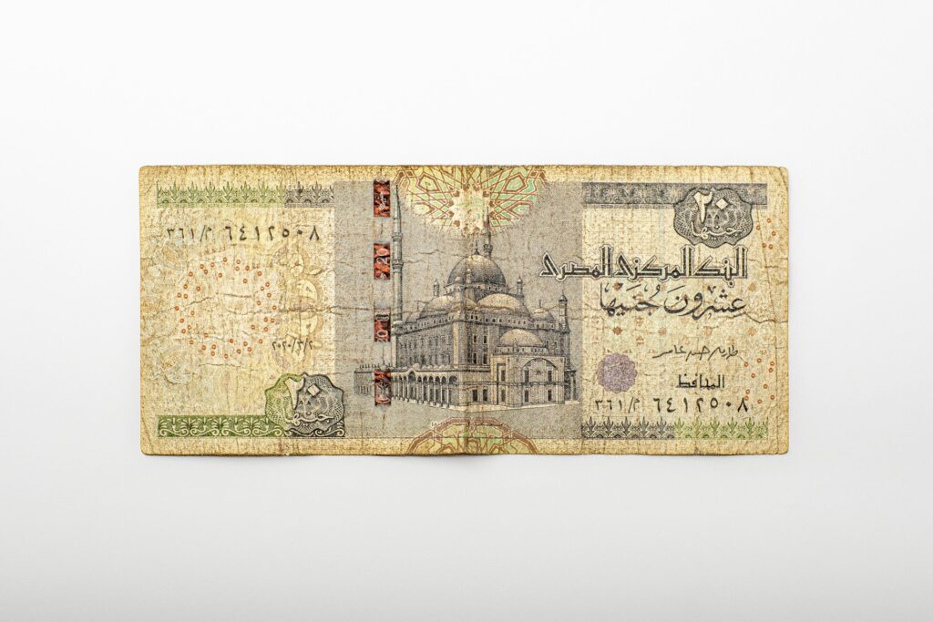 Before Your Trip to Egypt / Twenty Egyptian Pound