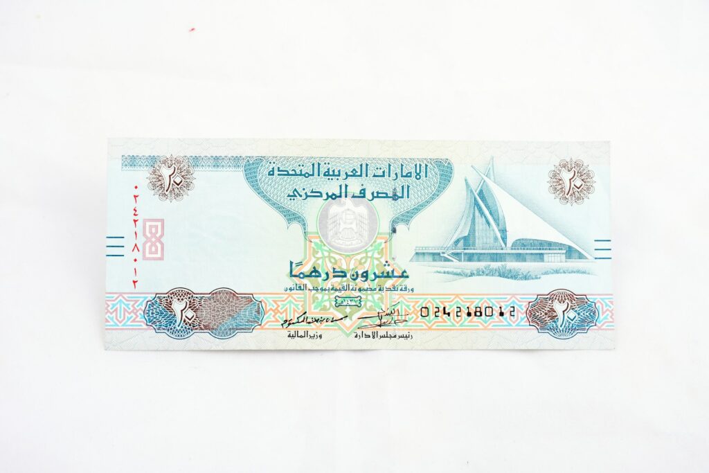 Before Your Trip to Dubai / 20 Dirhams