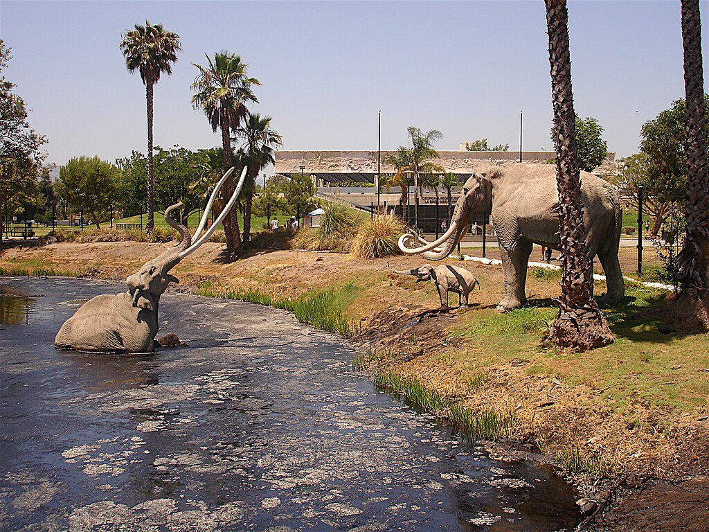 13 Best Places to Visit in Los Angeles / La Brea Tar Pits