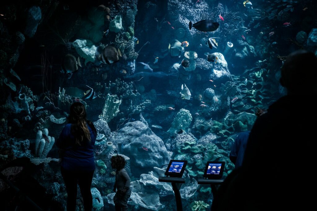 14 Best Places to Visit in Chicago / Shedd Aquarium