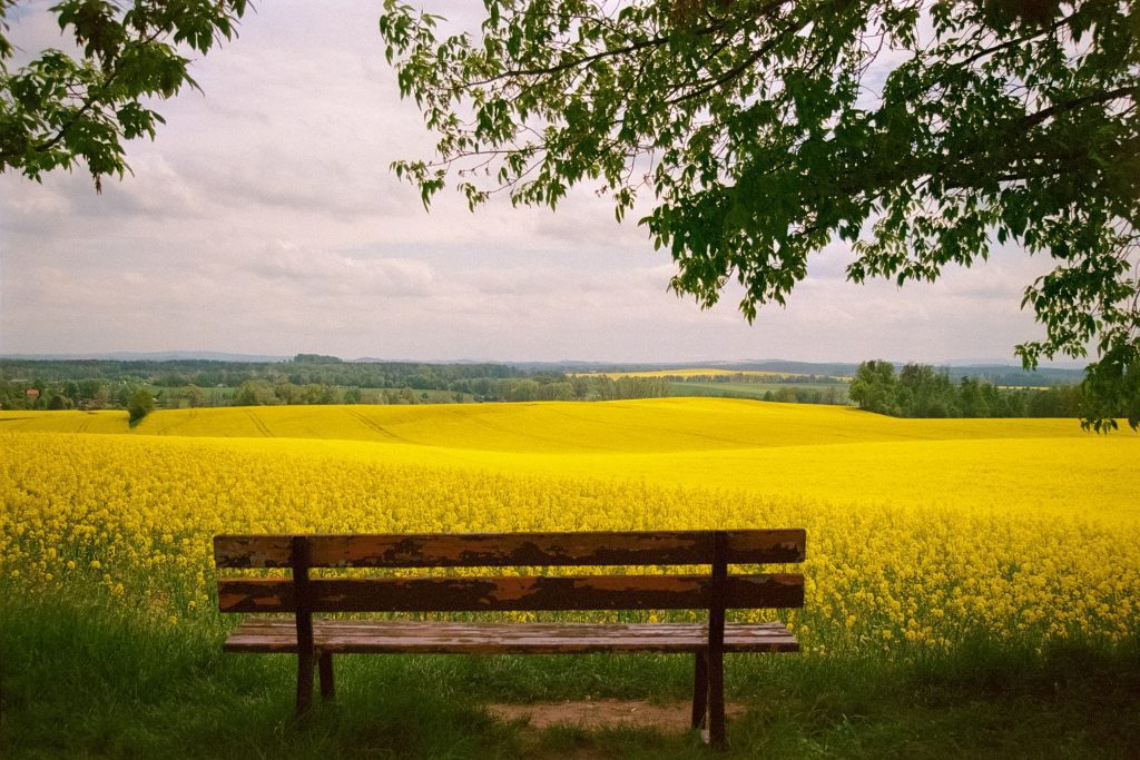 Before Your Trip to Germany / Spring in Pulsnitz, Germany